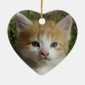 Beautiful Orange Tabby Kitten Keramik Ornament (Hinten)