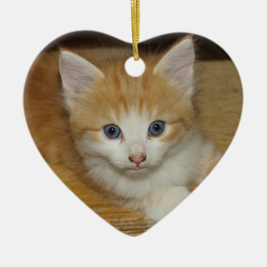 Beautiful Orange Tabby Kitten Keramikornament (Vorne)