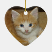 Beautiful Orange Tabby Kitten Keramikornament (Hinten)