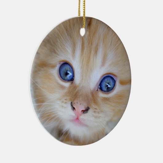 Beautiful Orange Tabby Kitten Keramikornament (Rechts)