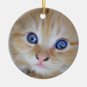 Beautiful Orange Tabby Kitten Keramikornament