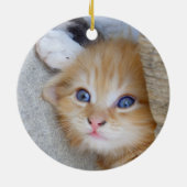 Beautiful Orange Tabby Kitten Keramikornament (Hinten)