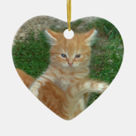 Beautiful Orange Tabby Kitten Keramikornament (Vorne)