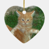 Beautiful Orange Tabby Kitten Keramikornament (Hinten)