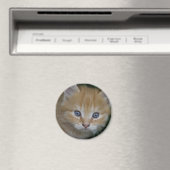 Beautiful Orange Tabby Kitten Magnet (In Situ (Geschirrspüler))