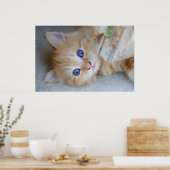 Beautiful Orange Tabby Kitten Poster (Küche)