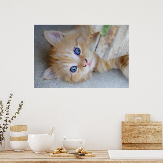 Beautiful Orange Tabby Kitten Poster (Küche)