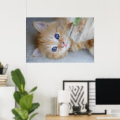 Beautiful Orange Tabby Kitten Poster (Heimbüro)