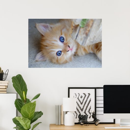 Beautiful Orange Tabby Kitten Poster (Heimbüro)