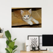 Beautiful Orange Tabby Kitten Poster (Heimbüro)