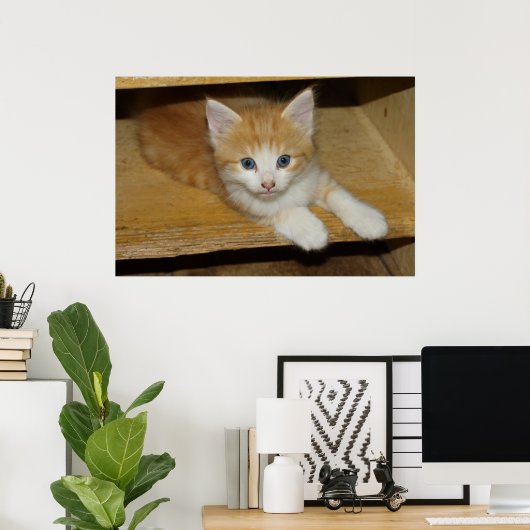 Beautiful Orange Tabby Kitten Poster (Heimbüro)