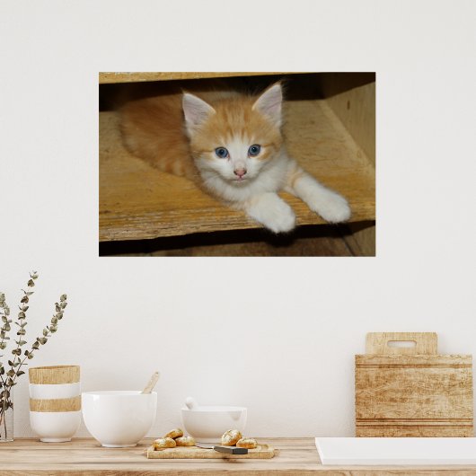 Beautiful Orange Tabby Kitten Poster (Küche)