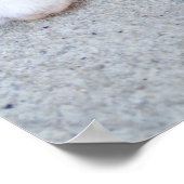 Beautiful Orange Tabby Kitten Poster (Ecke)