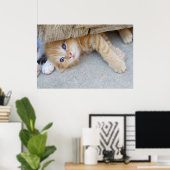 Beautiful Orange Tabby Kitten Poster (Heimbüro)
