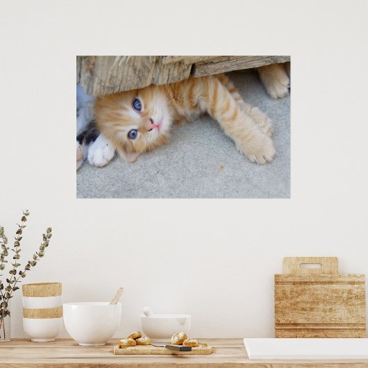 Beautiful Orange Tabby Kitten Poster (Küche)