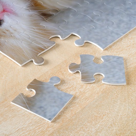 Beautiful Orange Tabby Kitten Puzzle (Seite)