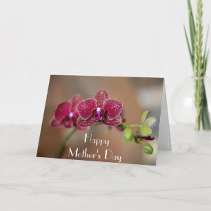 Beautiful Orchid Mother's Day Karte