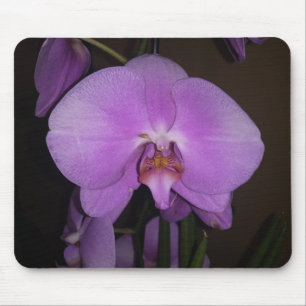 Beautiful Orchid Mouse Pad Mousepad