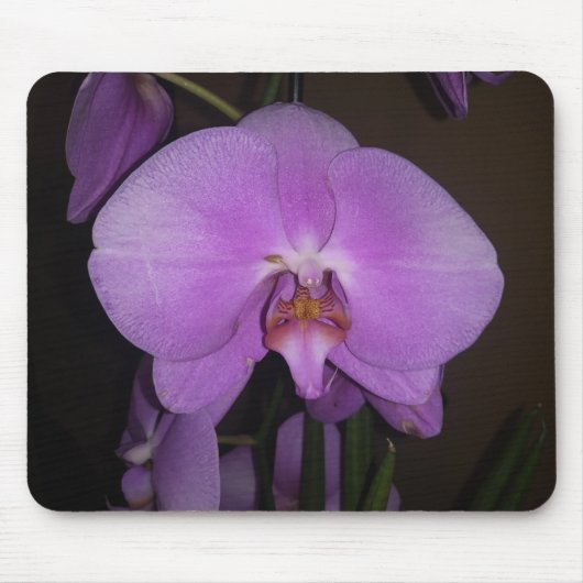 Beautiful Orchid Mouse Pad Mousepad (Vorne)