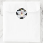 Beautiful Orchid Runder Aufkleber (Tasche)