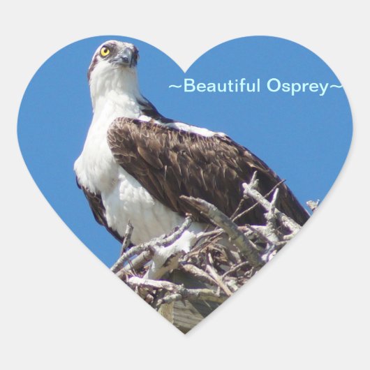 Beautiful Osprey Hawk Heart Sticker (Vorderseite)