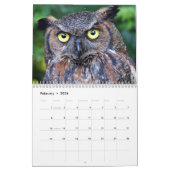 Beautiful Owls Elegante Mauer Kalender (Feb 2026)