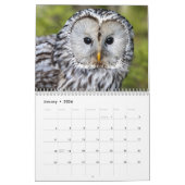 Beautiful Owls Elegante Mauer Kalender (Jan 2026)