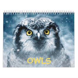 Beautiful Owls Elegante Mauer Kalender