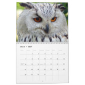 Beautiful Owls Elegante Mauer Kalender (Mär 2027)