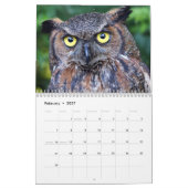 Beautiful Owls Elegante Mauer Kalender (Feb 2027)