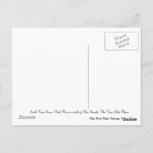 Beautiful Paint Horse in a field of Blue Bonnets Postkarte (Rückseite)