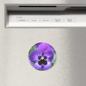 Beautiful Pansy Magnet (In Situ (Geschirrspüler))
