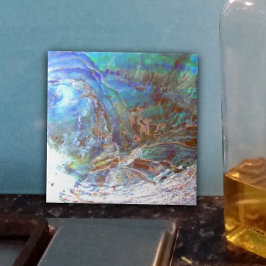 Beautiful Paua Black Abalone Neuseeland Muschel Fliese