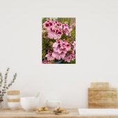 Beautiful Peach Pelargonium Flower Garden Poster (Küche)