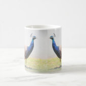 Beautiful Peacock Bird Birds Kaffeetasse (Mittel)