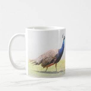 Beautiful Peacock Bird Birds Kaffeetasse