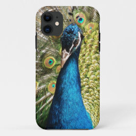 Beautiful Peacock Case-Mate iPhone Hülle