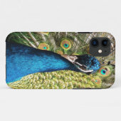 Beautiful Peacock Case-Mate iPhone Hülle (Rückseite (Horizontal))