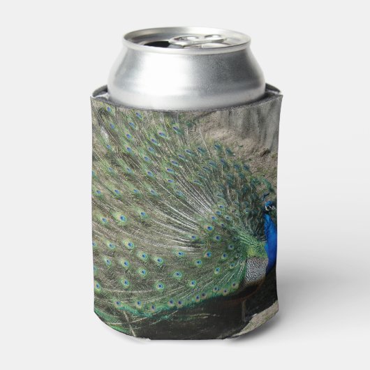 Beautiful Peacock Dosenkühler (Kanne Vorderseite)