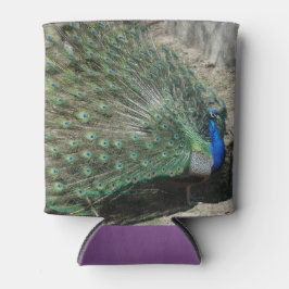 Beautiful Peacock Dosenkühler