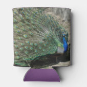 Beautiful Peacock Dosenkühler (Rückseite)