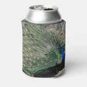Beautiful Peacock Dosenkühler (Kanne Rückseite)
