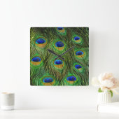 Beautiful Peacock Feathers Quadratische Wanduhr (Zuhause)