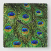 Beautiful Peacock Feathers Quadratische Wanduhr (Vorderseite)