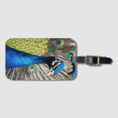 Beautiful Peacock Gepäckanhänger (Vorderseite (Horizontal))