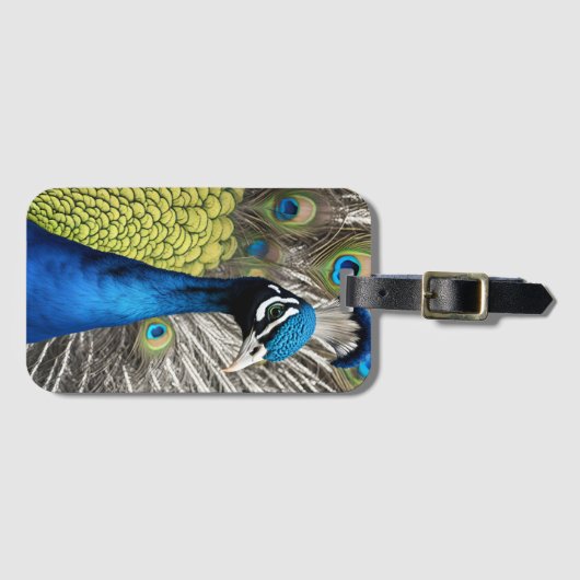 Beautiful Peacock Gepäckanhänger (Vorderseite (Horizontal))