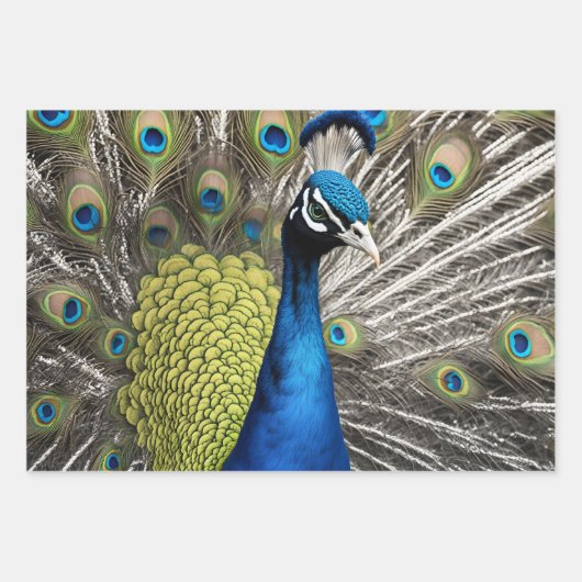Beautiful Peacock Geschenkpapier Set (Vorderseite)