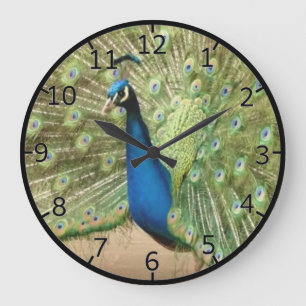 Beautiful Peacock Große Wanduhr