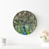 Beautiful Peacock Große Wanduhr (Zuhause)
