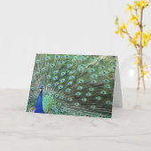 Beautiful Peacock Just Sprichwort Hello Card Karte (Gelbe Blume)